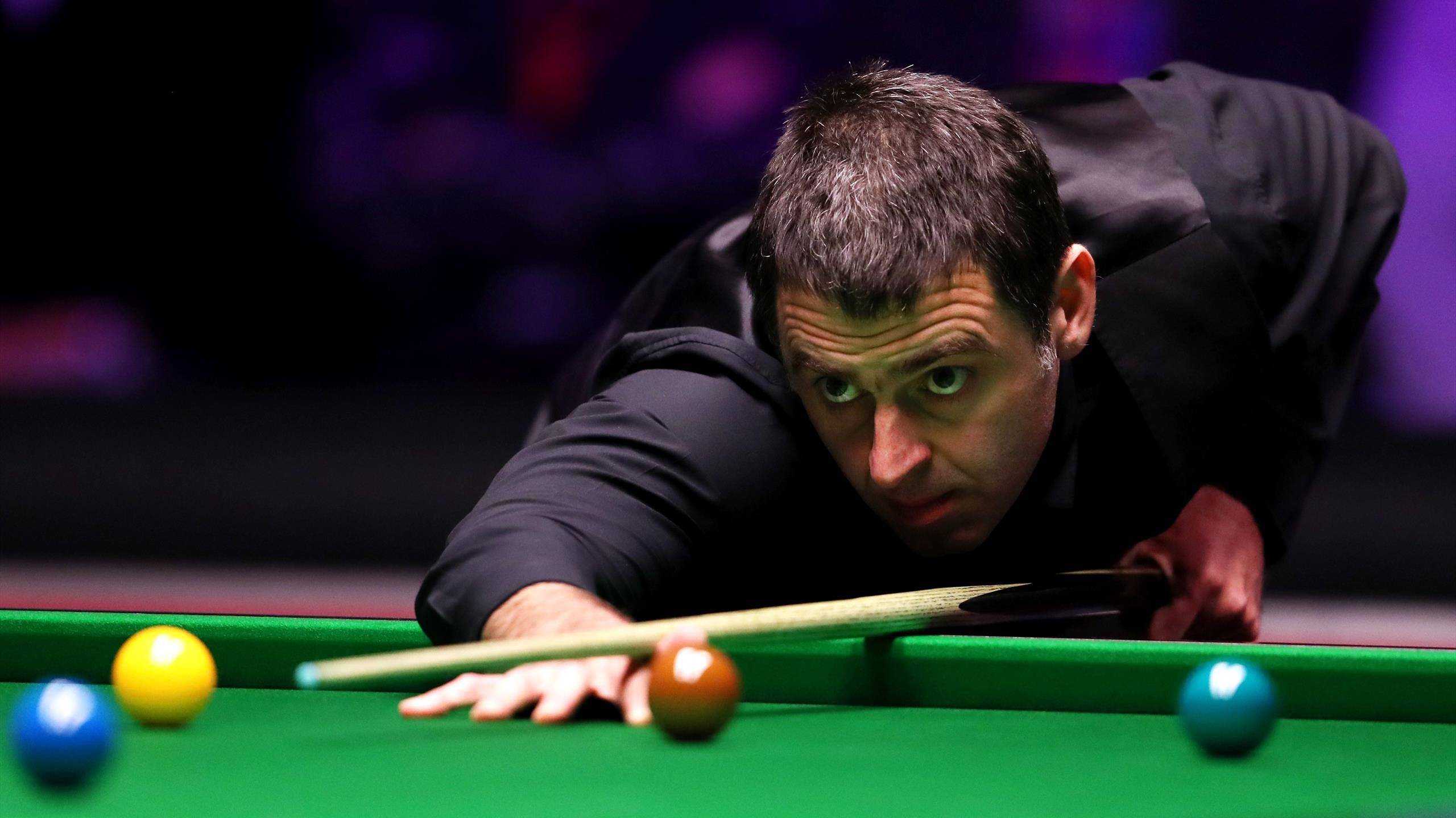 为你梳理新 为你梳理新